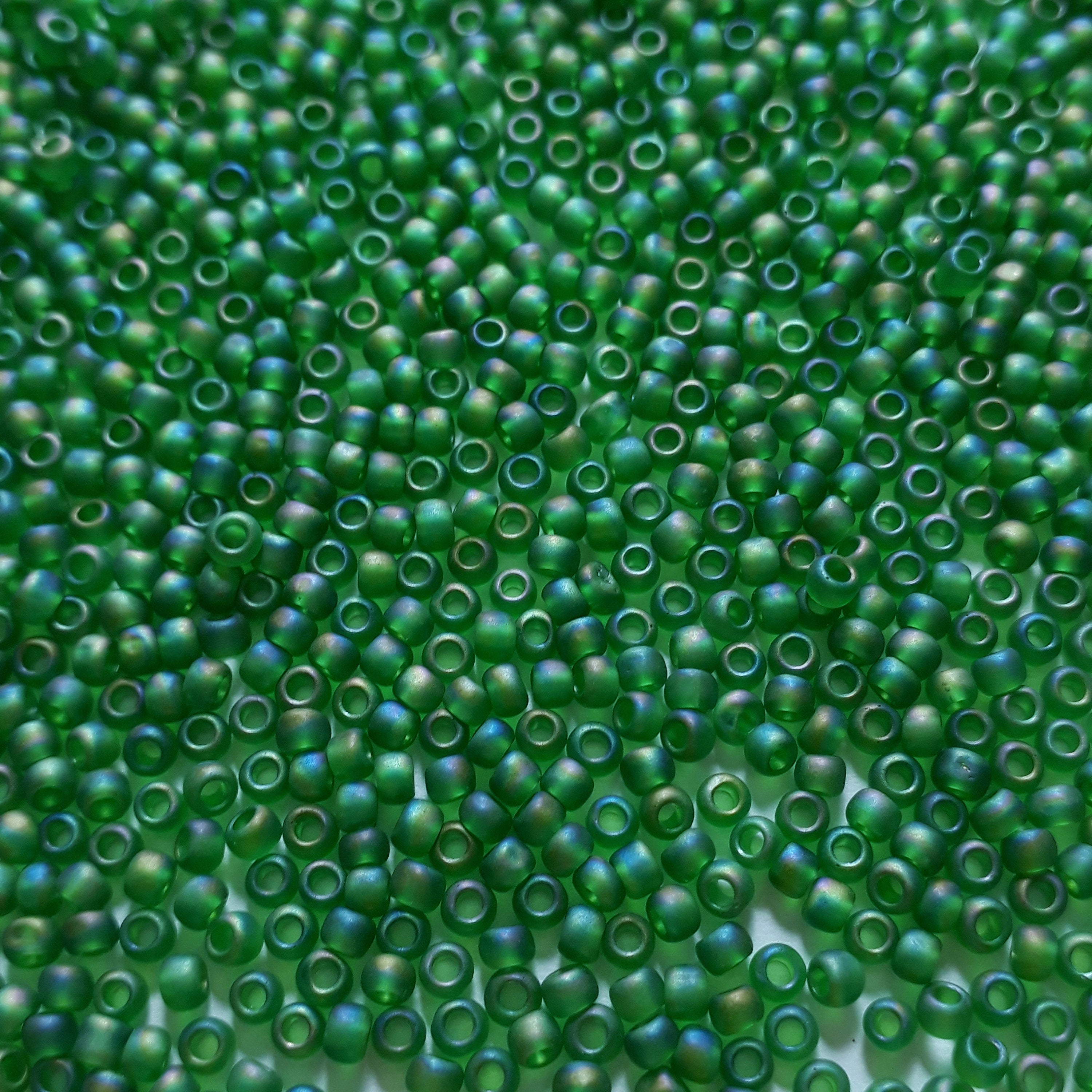 Transparent-Rainbow Frosted Grass Green TOHO Seed Glass - 11/0 - 10g