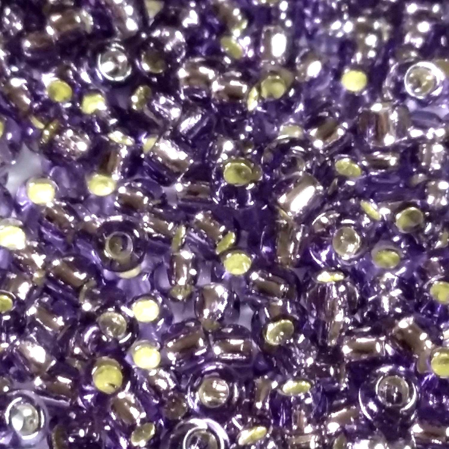 Silver-Lined Tanzanite TOHO Seed Glass - 11/0 - 10g
