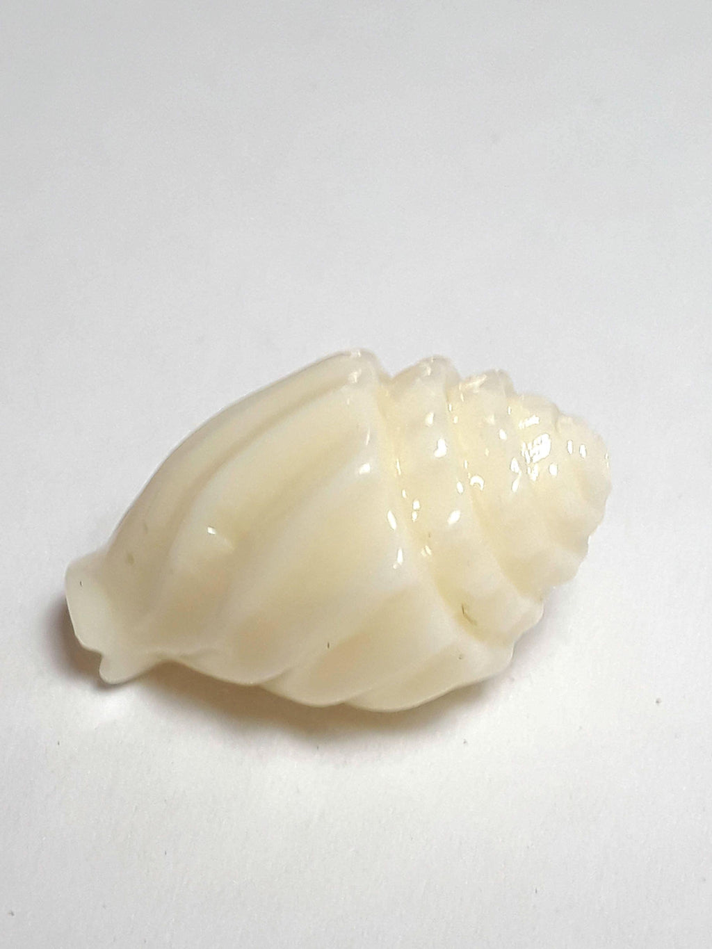 Seashell Cream Coral Conch Seashell 17x13mm - 2pcs