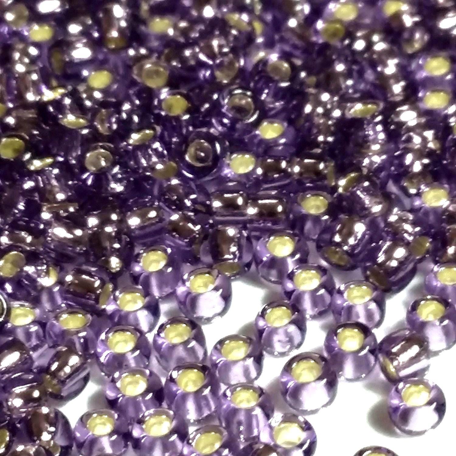 Silver-Lined Tanzanite TOHO Seed Glass - 11/0 - 10g