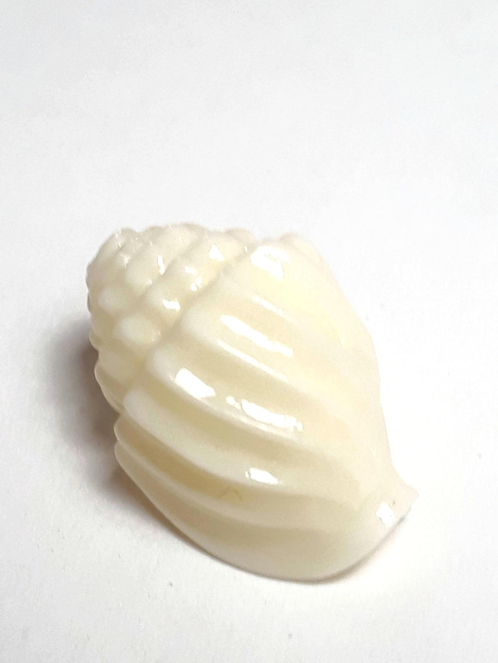 Seashell Cream Coral Conch Seashell 17x13mm - 2pcs